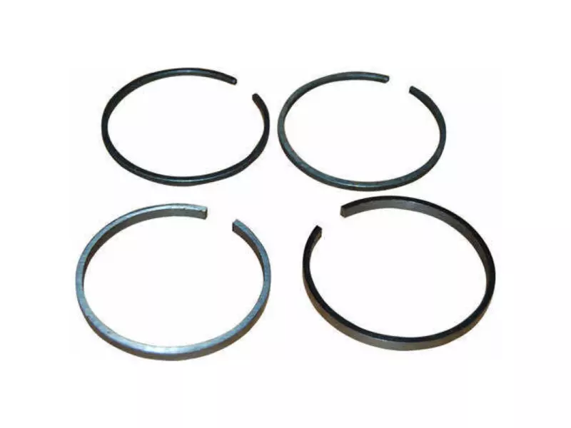 MANIFOLD RING