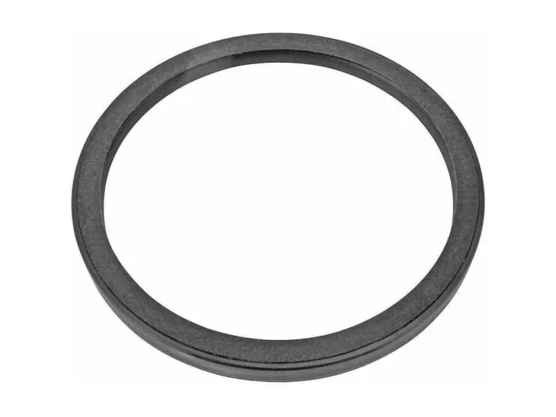 Oil seal