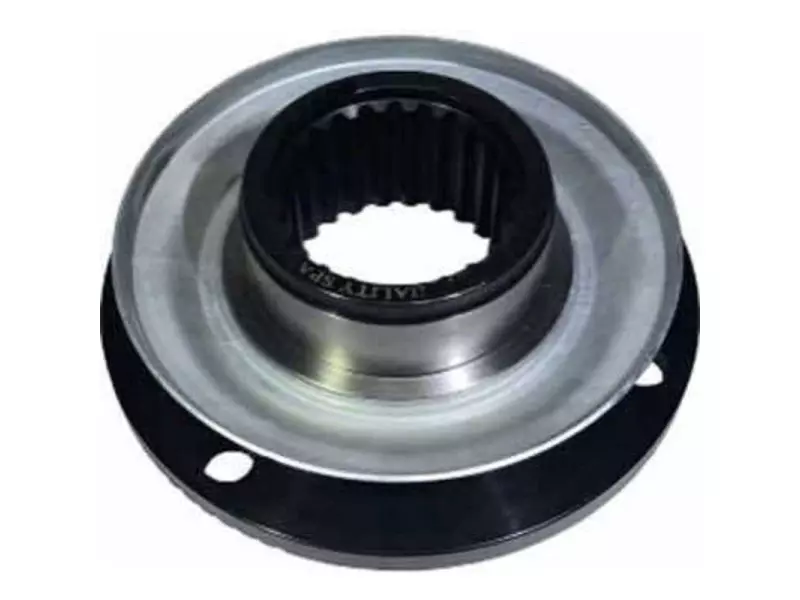 FLANGE