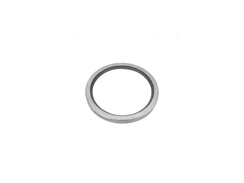 THERMOSTAT SEAL RING