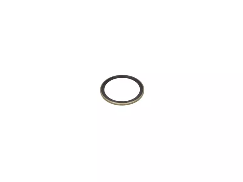 Oil Seal