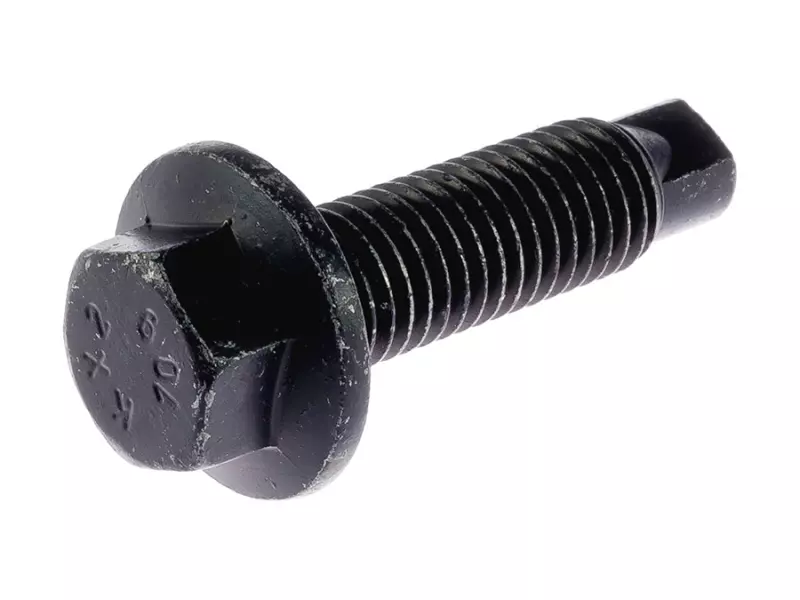 Flange Nut