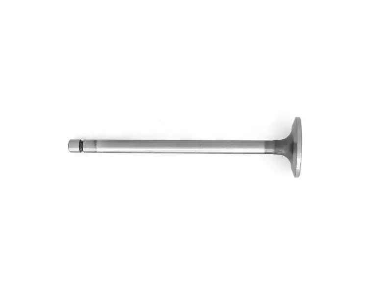 VALVE EXHAUST