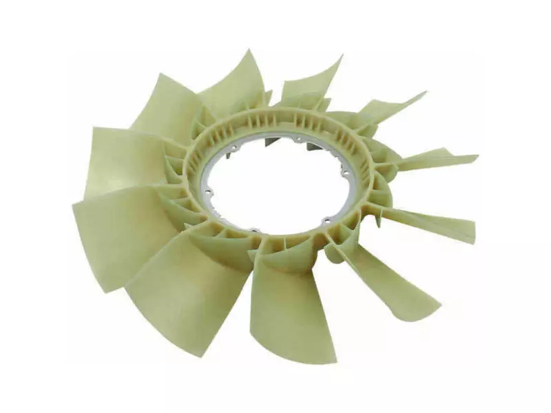 FAN