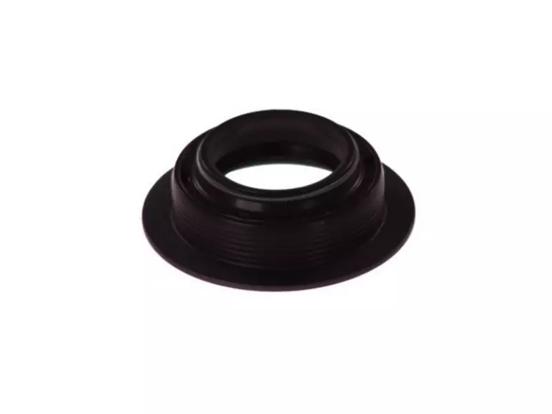 Oil seal