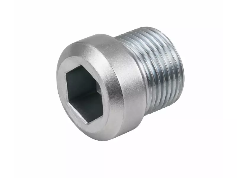 Wheel Hub Plug