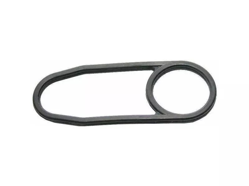 GASKET , FILTER HEAD