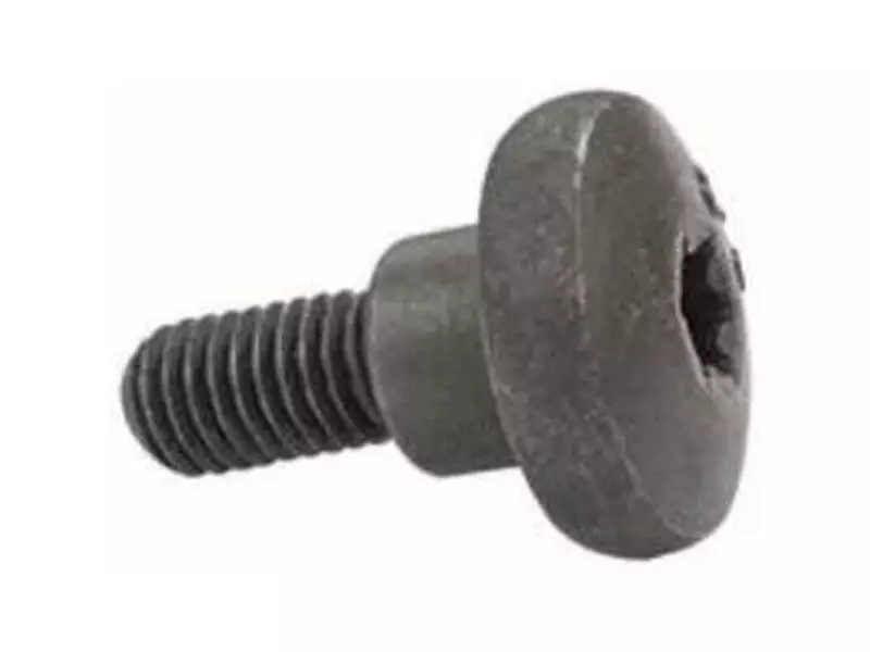 SCREW , BUMPER — 600505286 — AKTRUCK