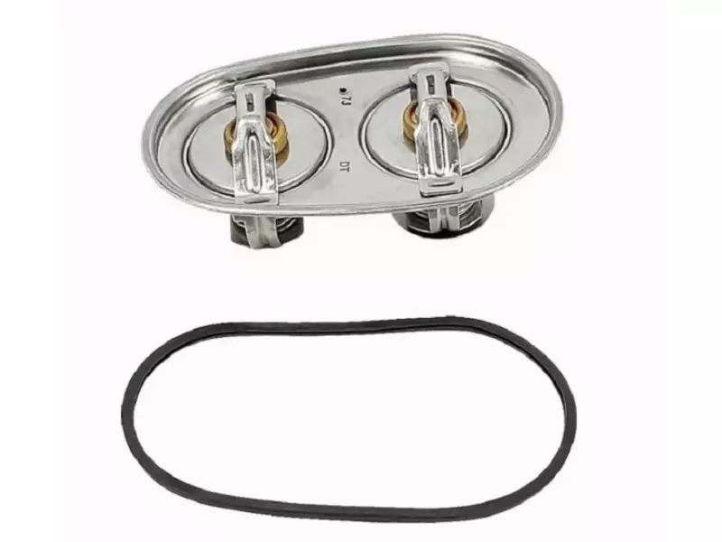 Thermostat, with gasket