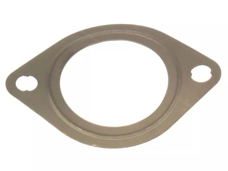 Gasket, cooling water pipe