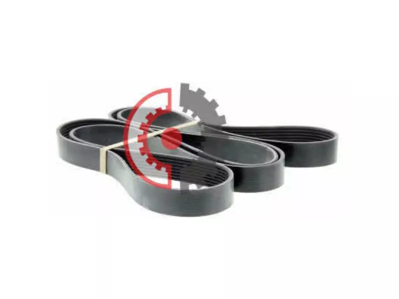V BELT