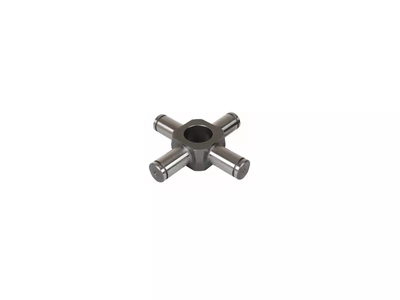 SPIDER