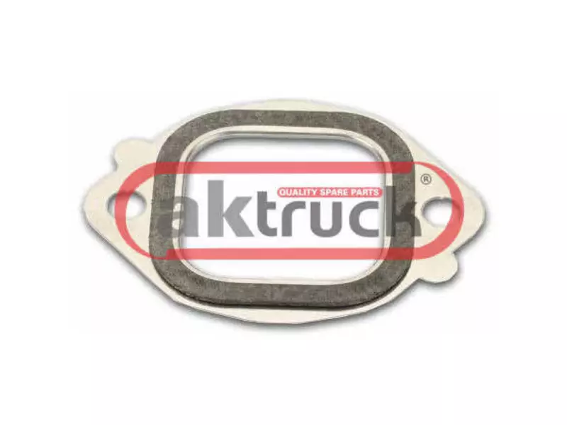 MANIFOLD GASKET