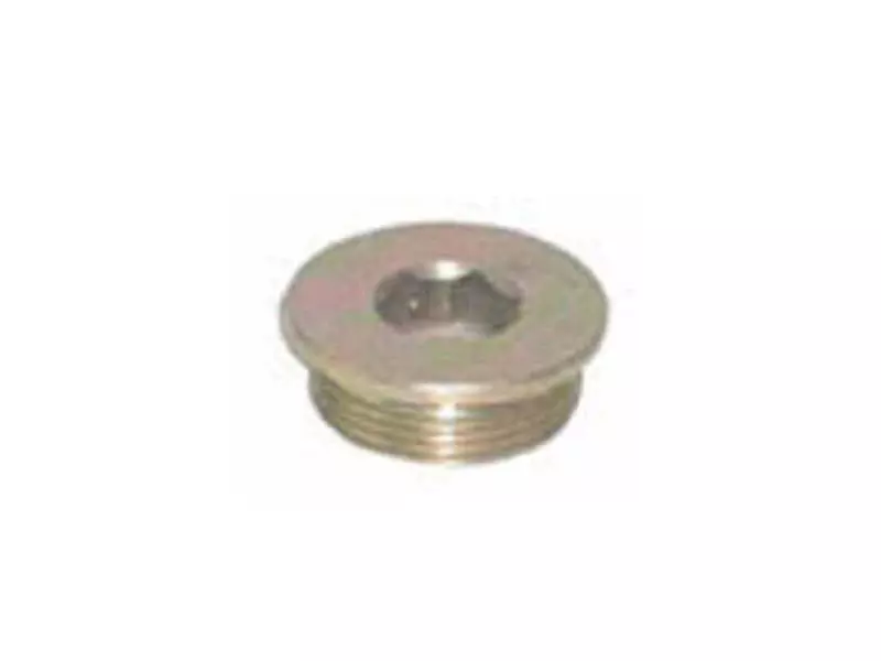 CYLINDER HEAD PLUG