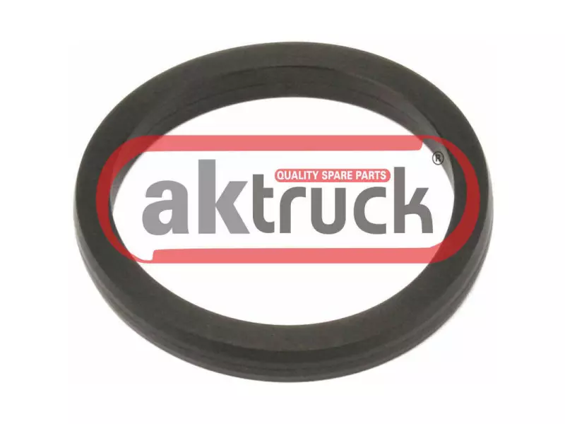 RUBBER SEAL