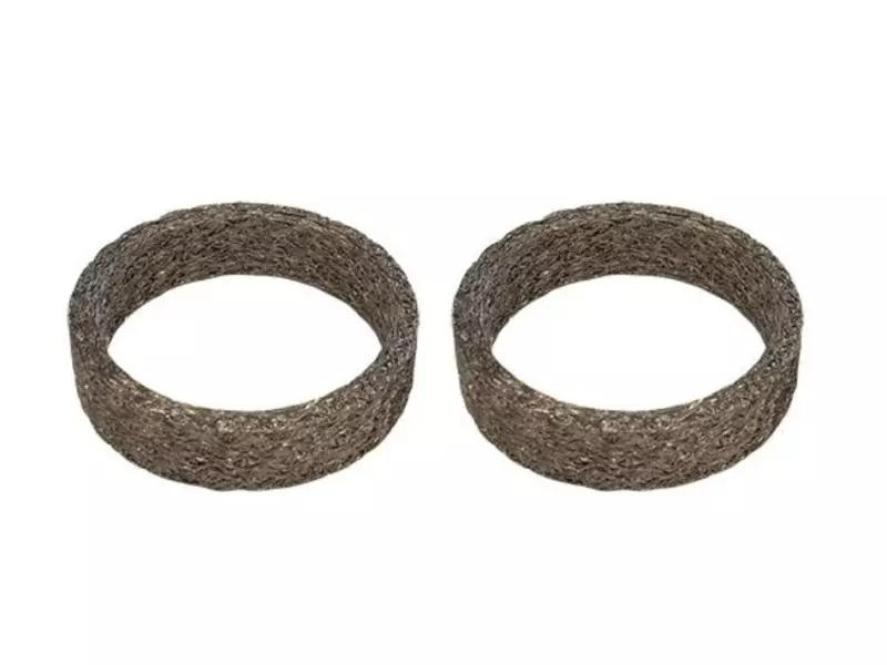 MANIFOLD GASKET