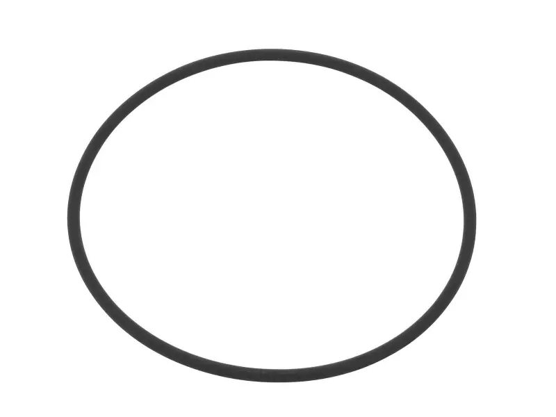 O-ring