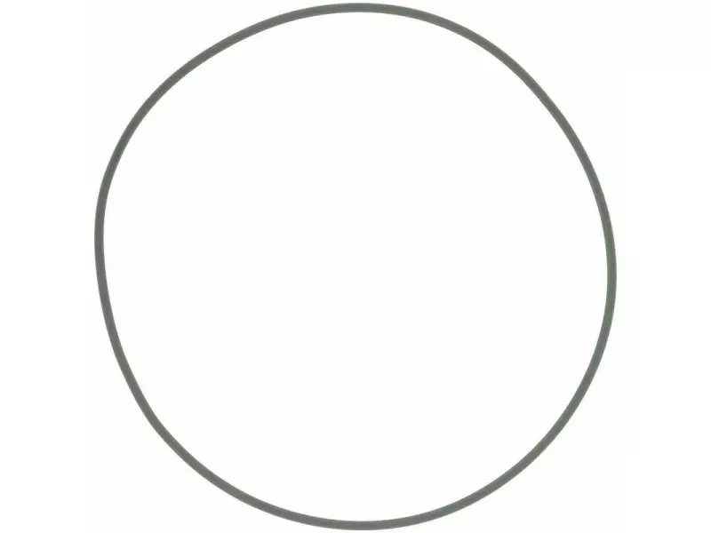 O-RING