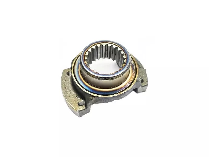 Companion Flange