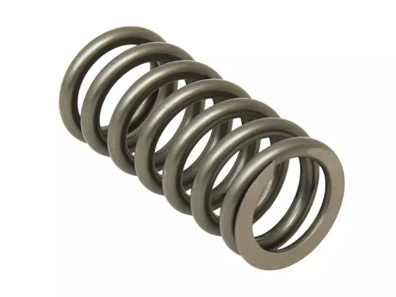 Valve spring, outer
