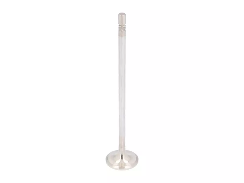 Intake Valve