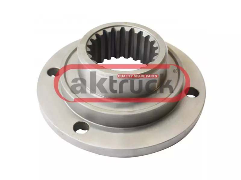 COMPANION FLANGE
