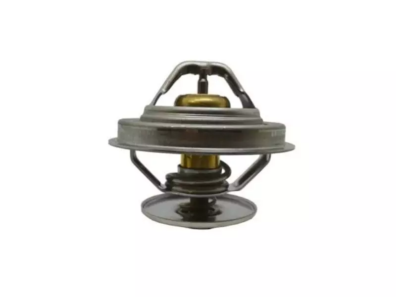 Thermostatic Valve