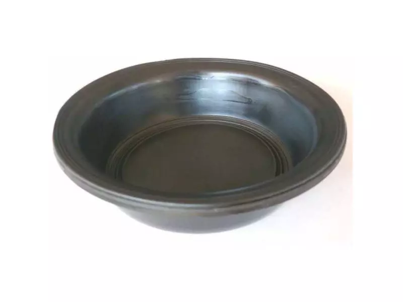 DIAPHRAGM