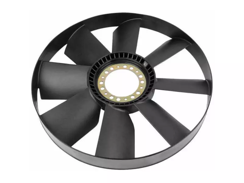 FAN