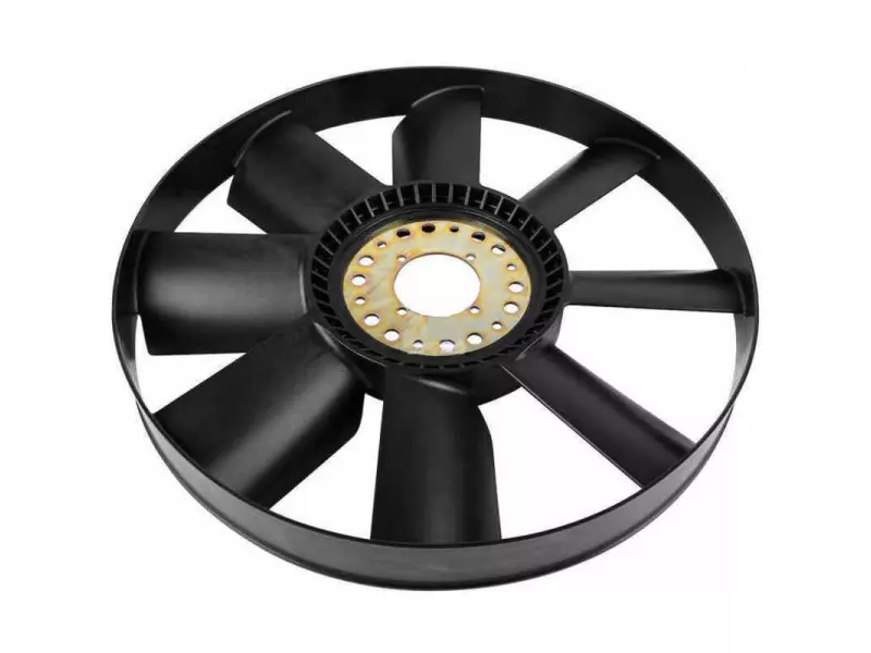 FAN