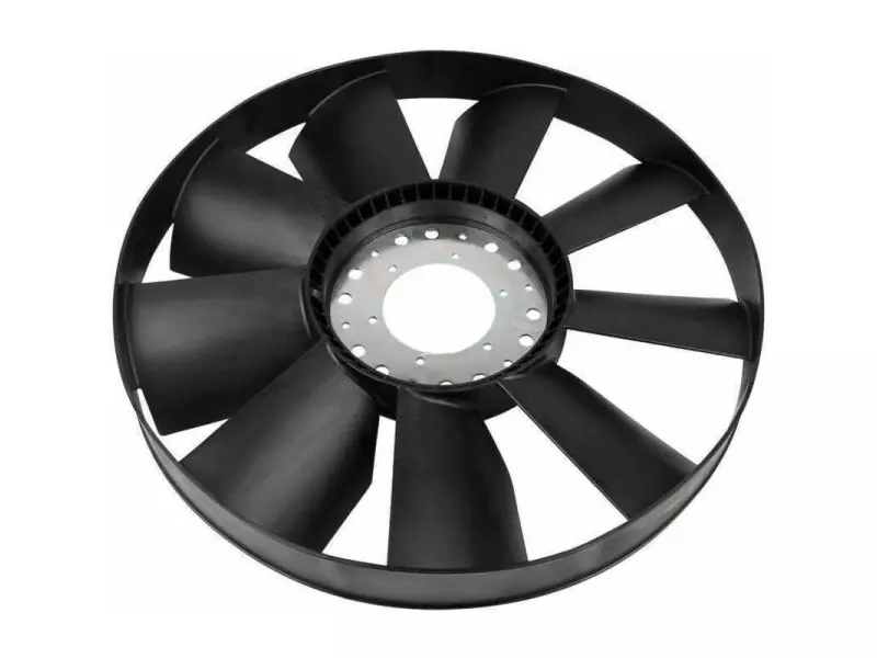 FAN
