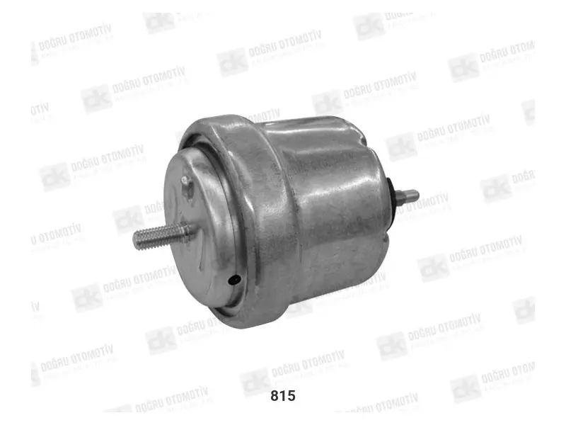 Engine Mounting