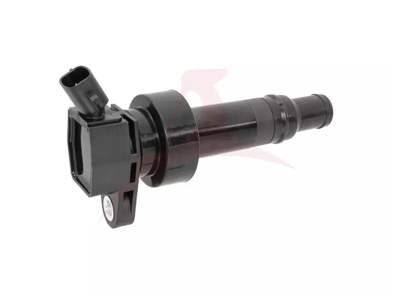 IGNITION COILS
