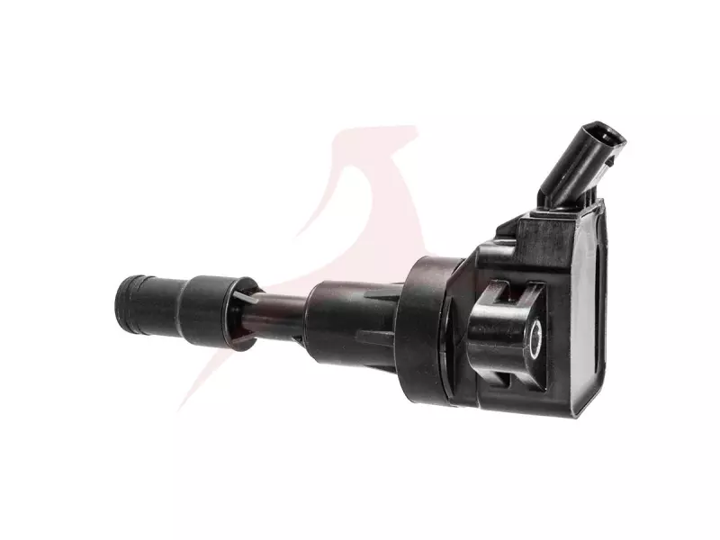 IGNITION COILS
