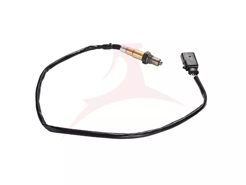 OXYGEN SENSORS