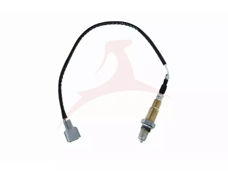 OXYGEN SENSORS