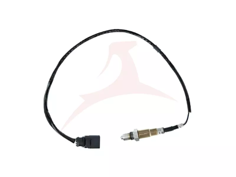 OXYGEN SENSORS