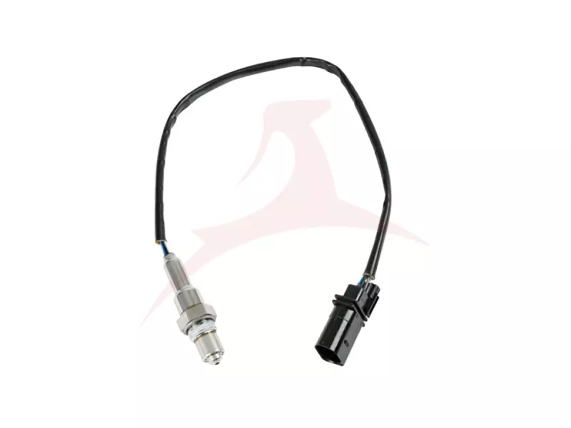 OXYGEN SENSORS
