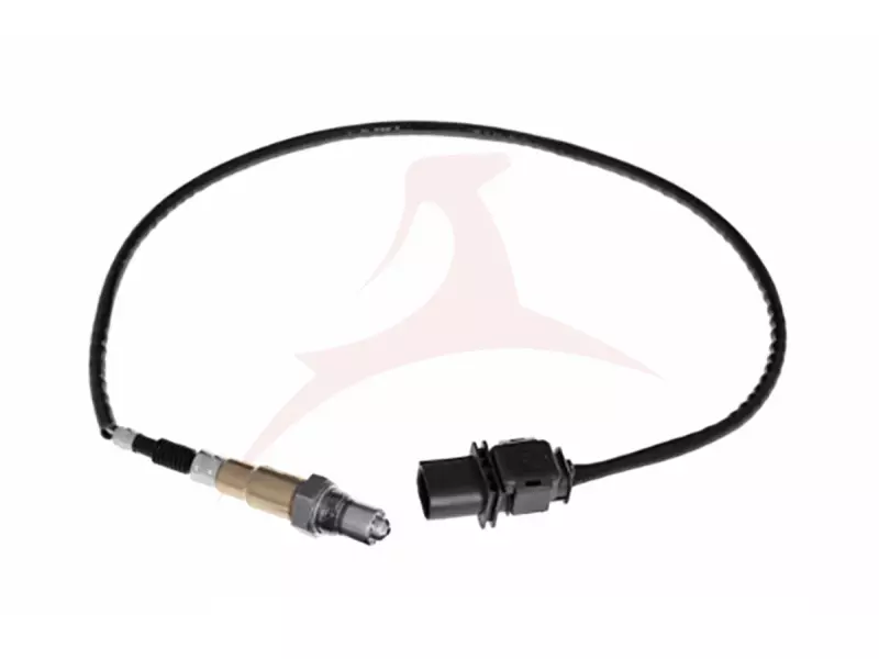 OXYGEN SENSORS