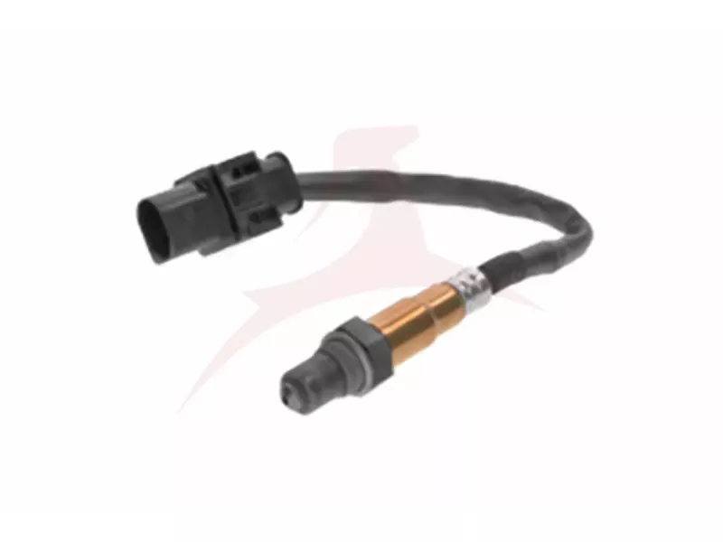 OXYGEN SENSORS