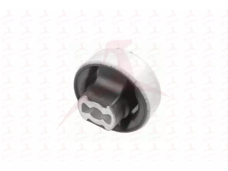CONTROL TRAILING ARM MOUNTING (FRONT RH / LH)