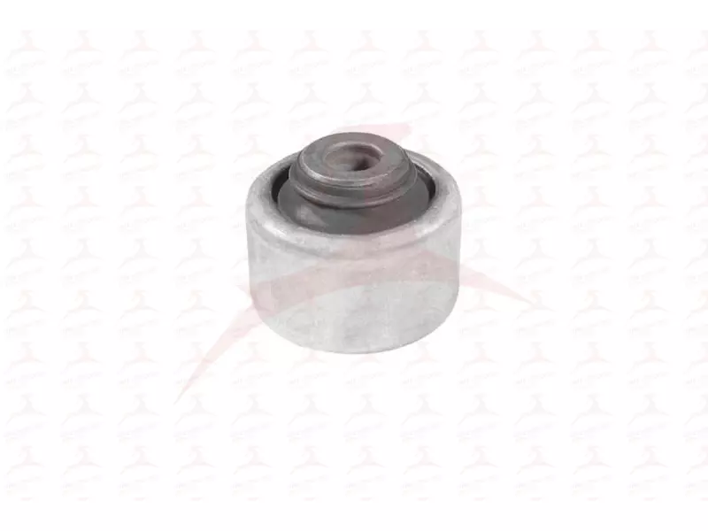 CONTROL TRAILING ARM MOUNTING (FRONT RH / LH)