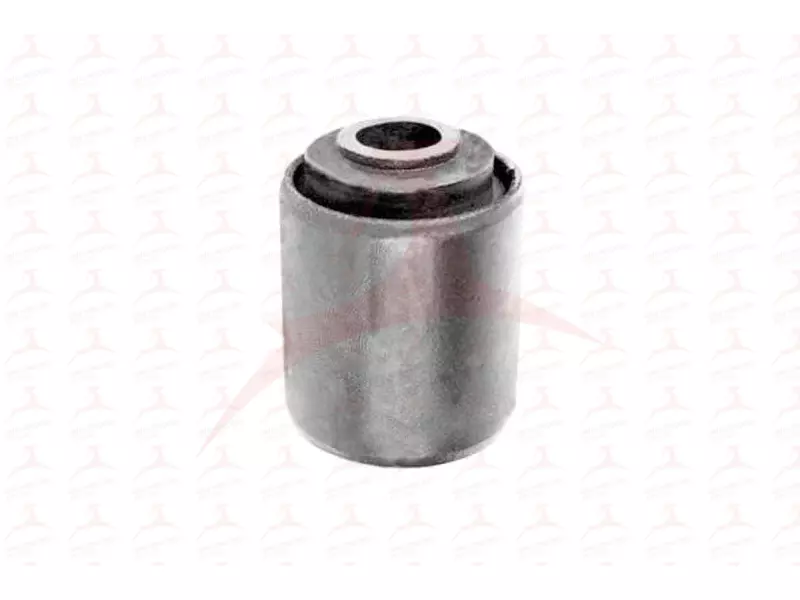 CONTROL TRAILING ARM MOUNTING ( FRONT )