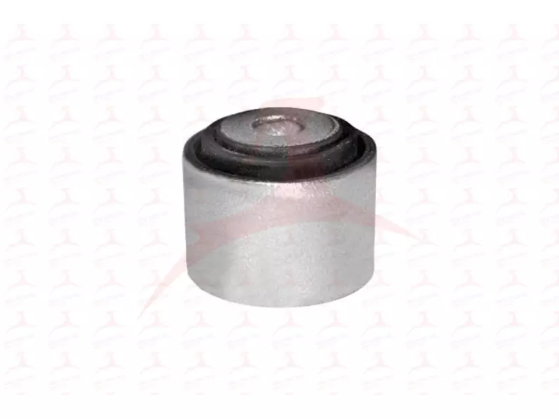 CONTROL TRAILING ARM MOUNTING ( REAR )