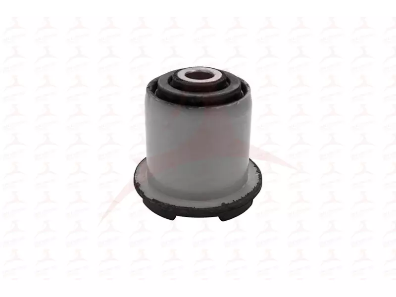 CONTROL TRAILING ARM MOUNTING ( FRONT )