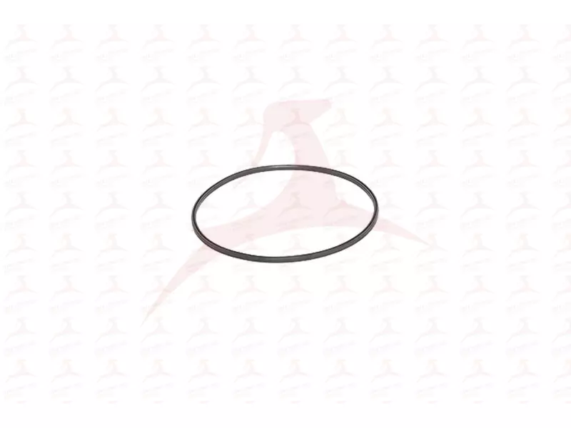 FUEL TANK GASKET