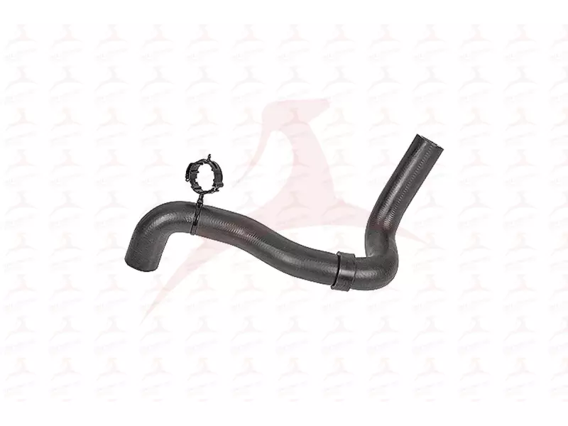 RADIATOR HOSE ( UPPER )