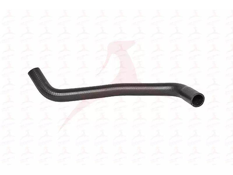 RADIATOR HOSE ( LOWER )