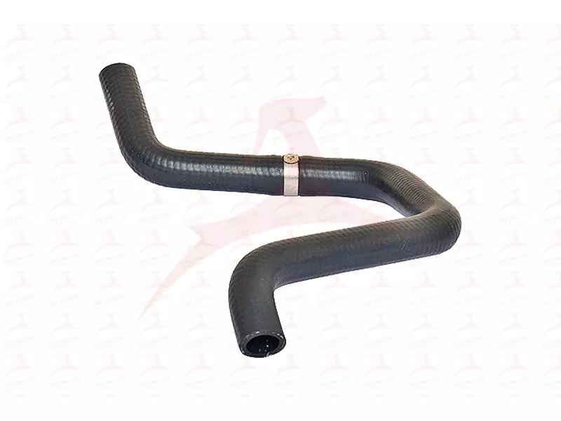 RADIATOR HOSE ( FRONT )