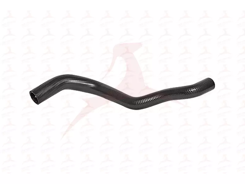 RADIATOR HOSE ( UPPER )